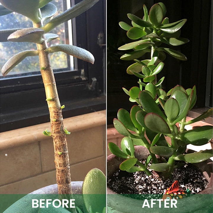 LIMETOW™ Plant Awakening Agent