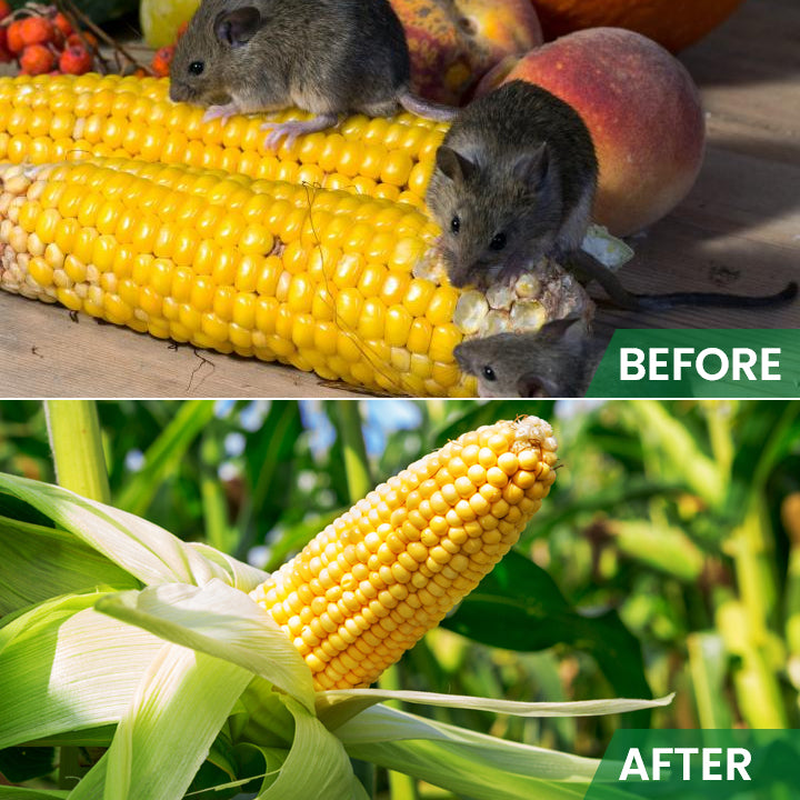 LIMETOW™ Rat Repellent Cream for Gardeners