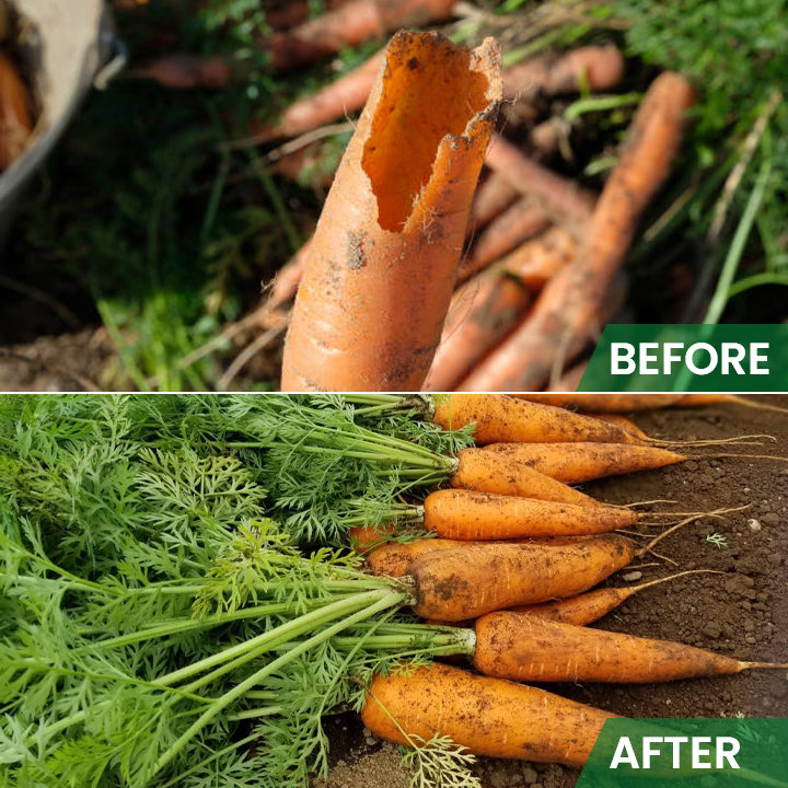 LIMETOW™ Rat Repellent Cream for Gardeners