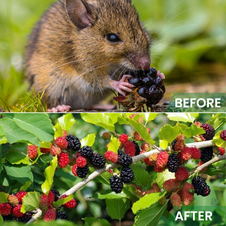 LIMETOW™ Rat Repellent Cream for Gardeners